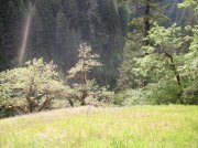 5.5.06 Eagle Creek 113 